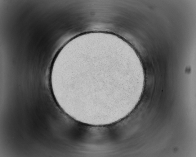 X0000103901277200810311401