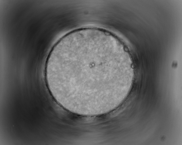 X0000103901279200810311401