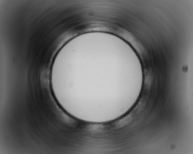 X0000103901282200810311401