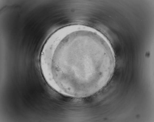 X0000103901283200810311401