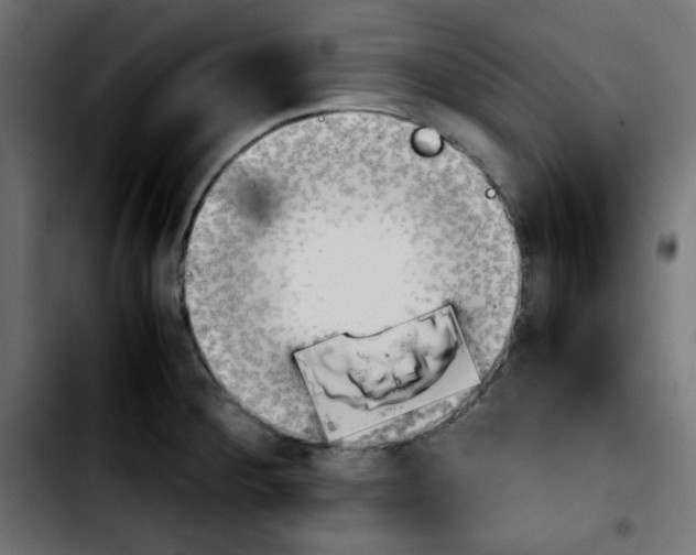 X0000103901284200810311401