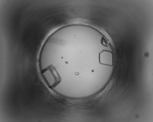 X0000103901285200810311401