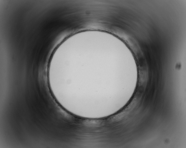 X0000103901286200810311401