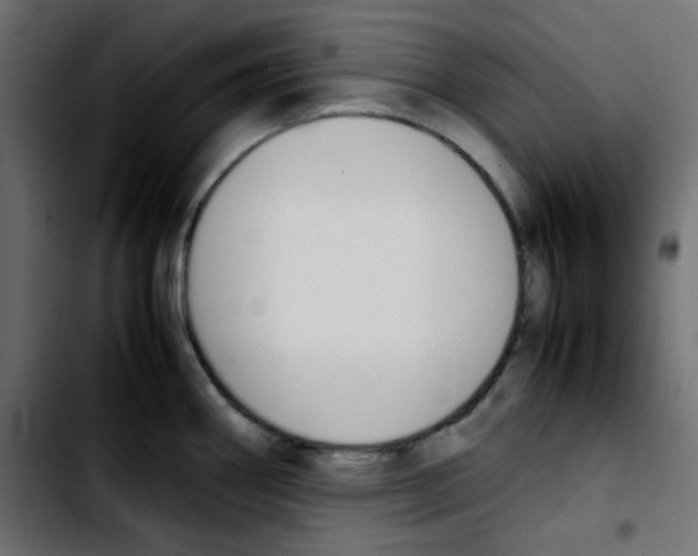 X0000103901290200810311401