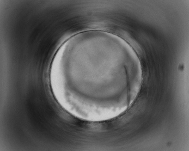 X0000103901291200810311401