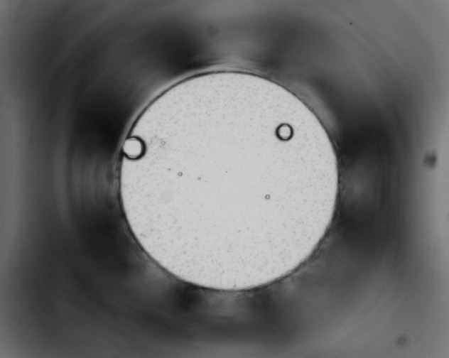 X0000103901292200810311401