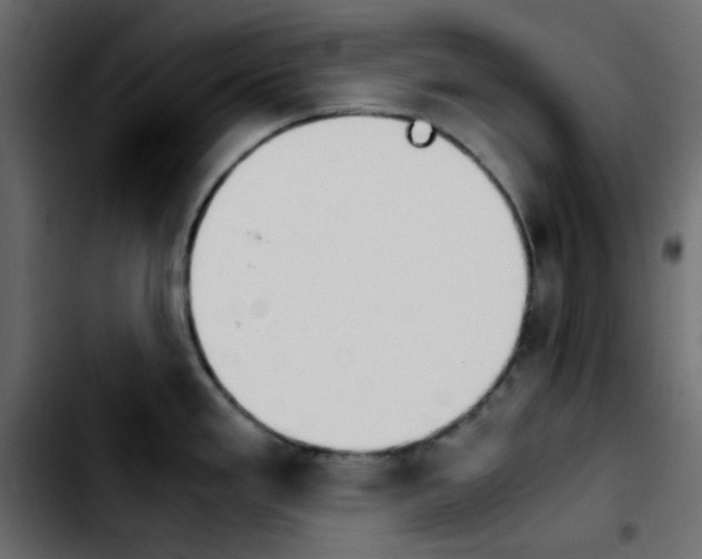 X0000103901293200810311401