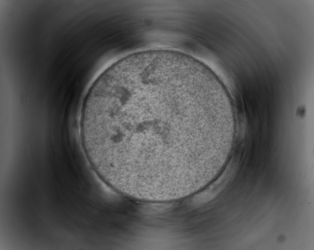 X0000103901294200810311401