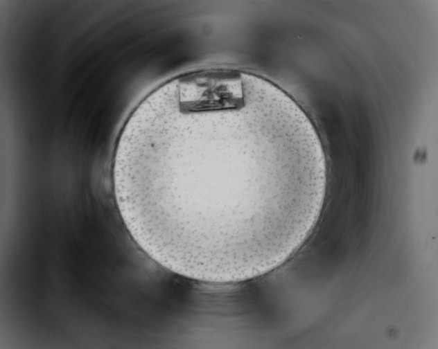 X0000103901296200810311401