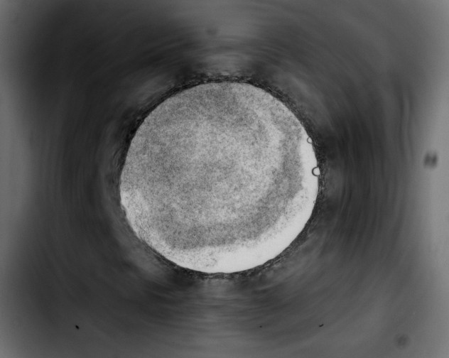 X0000103901297200810311400