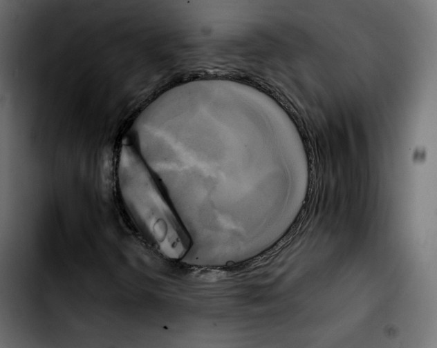 X0000103901298200810311400