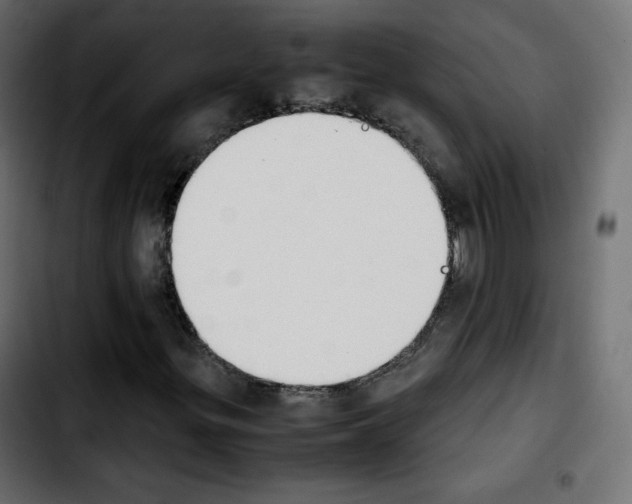 X0000103901299200810311400