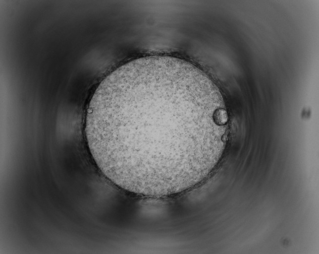 X0000103901300200810311400