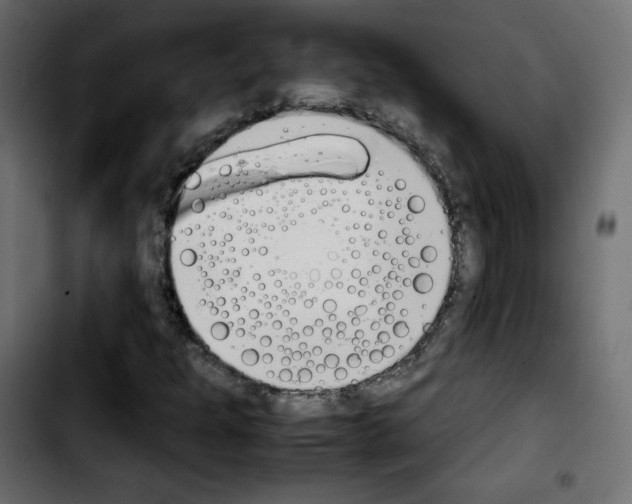 X0000103901301200810311400