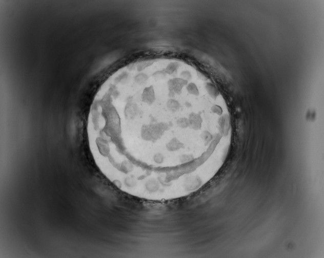 X0000103901302200810311400