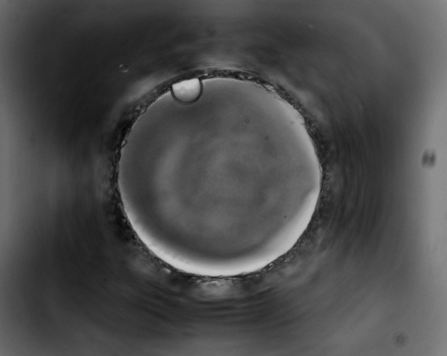 X0000103901303200810311400