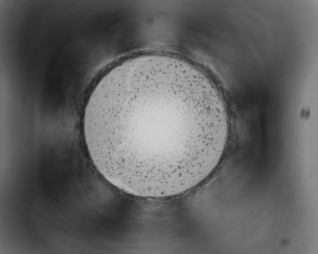 X0000103901304200810311400