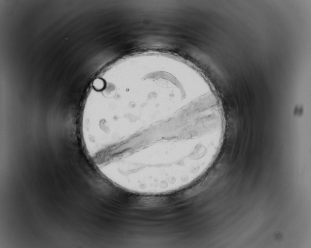 X0000103901305200810311400