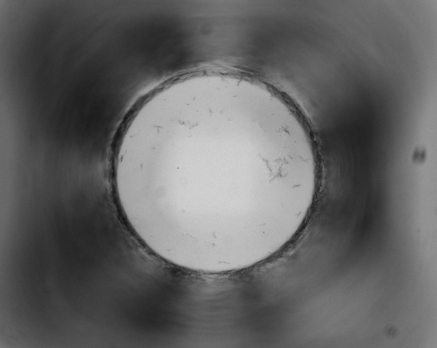 X0000103901308200810311400