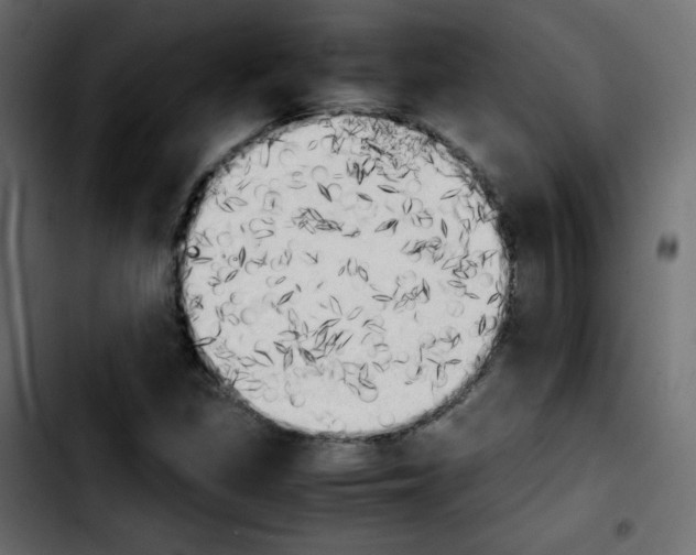 X0000103901309200810311400