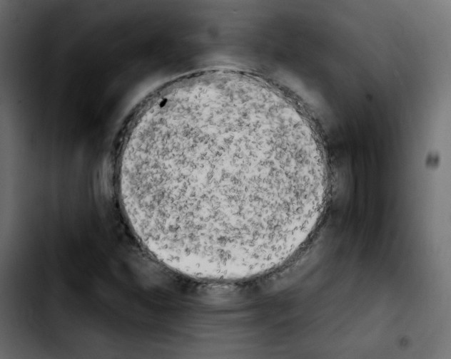 X0000103901310200810311400