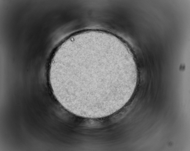 X0000103901311200810311400