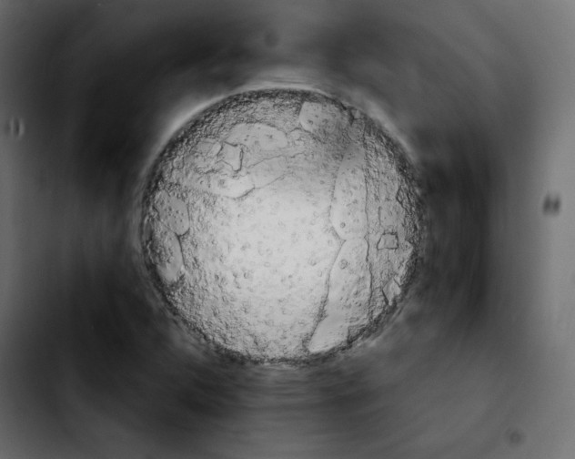 X0000103901312200810311400