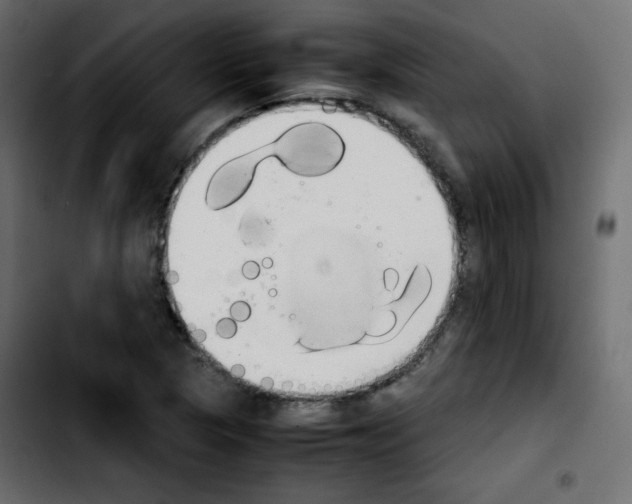 X0000103901313200810311400