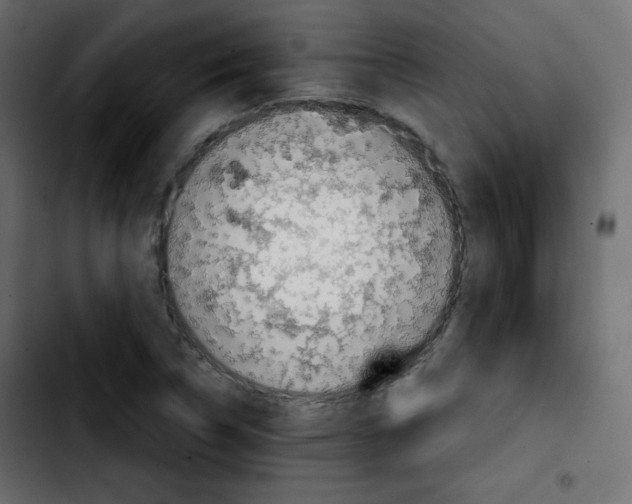 X0000103901314200810311400