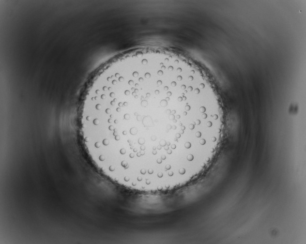 X0000103901315200810311400