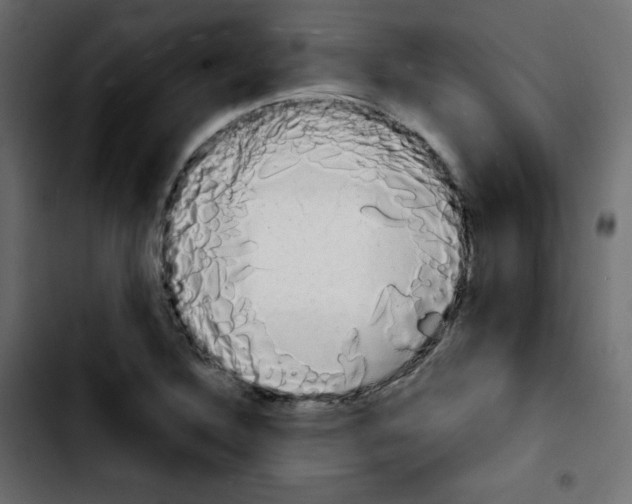 X0000103901316200810311400