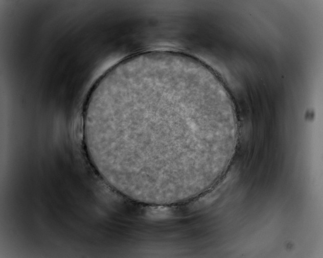 X0000103901317200810311400