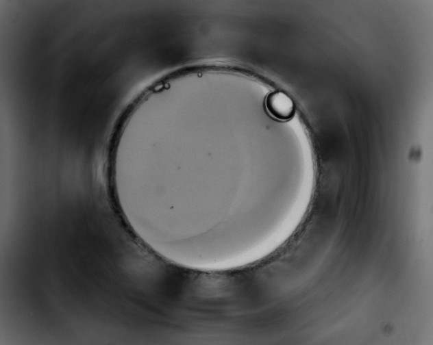 X0000103901319200810311401