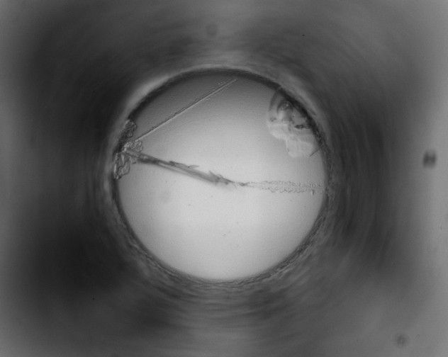 X0000103901320200810311401