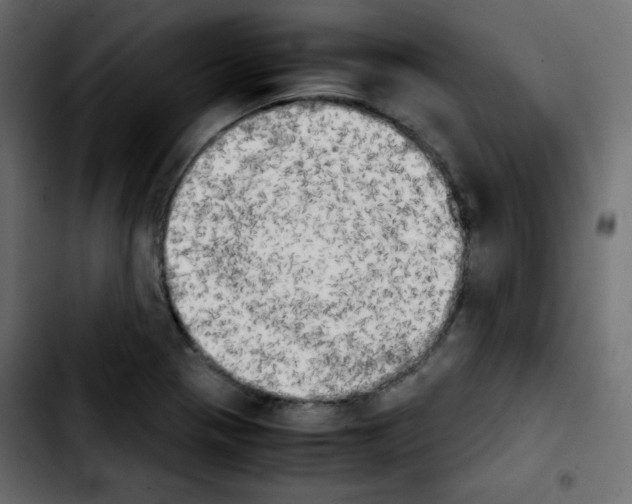 X0000103901321200810311401