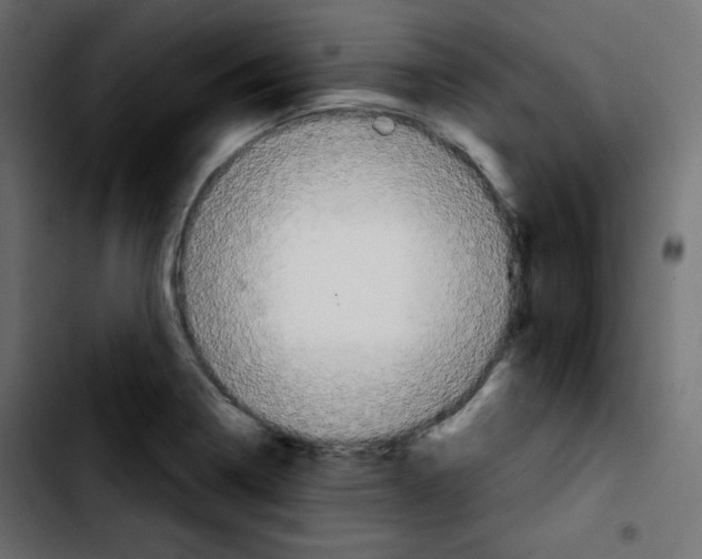 X0000103901322200810311401