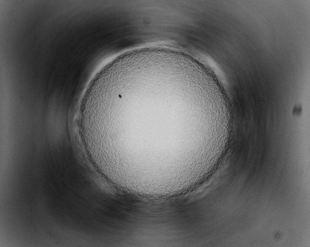 X0000103901324200810311401