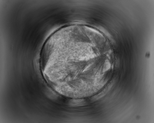 X0000103901325200810311401