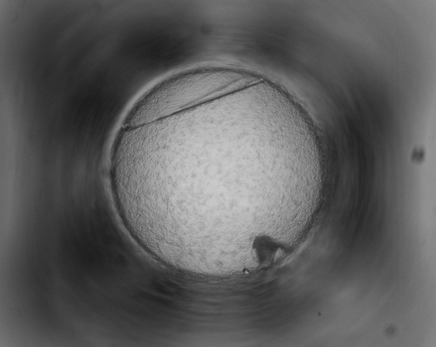 X0000103901326200810311401