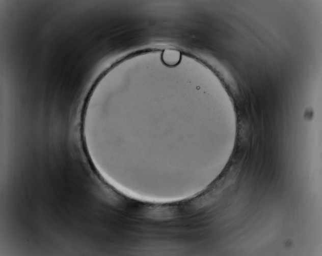 X0000103901327200810311401