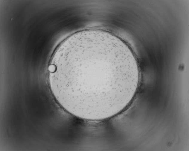 X0000103901328200810311401