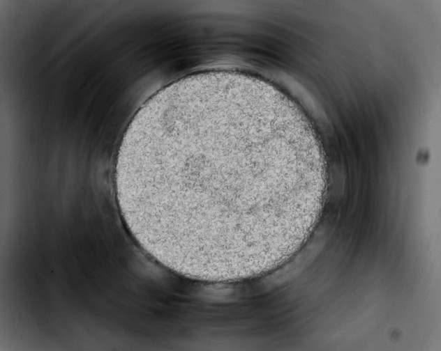 X0000103901329200810311401