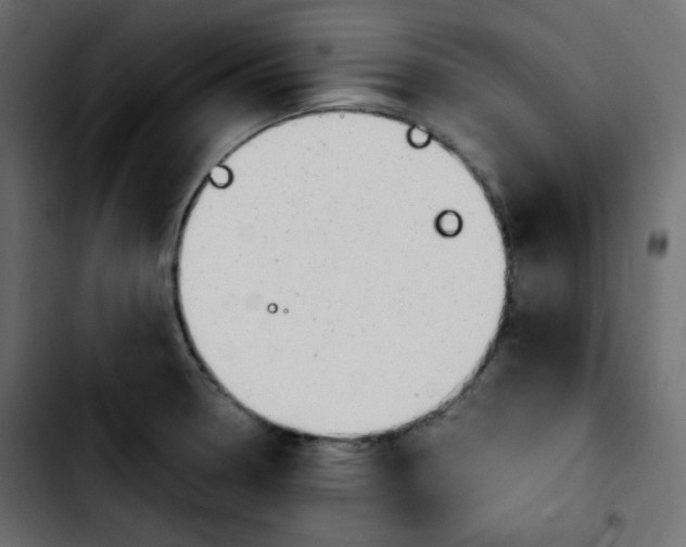 X0000103901330200810311401