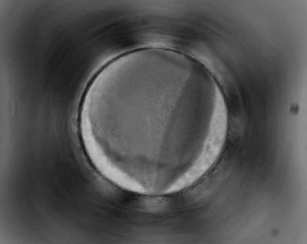 X0000103901331200810311401