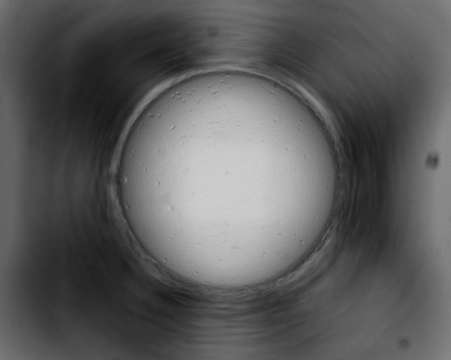 X0000103901332200810311401