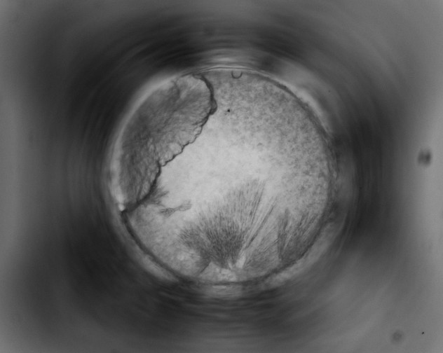 X0000103901333200810311401