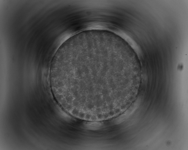 X0000103901337200810311401