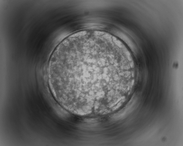 X0000103901338200810311401