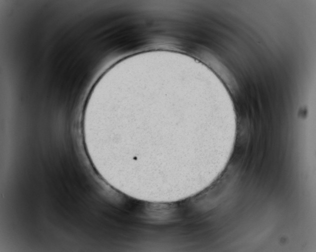 X0000103901339200810311401