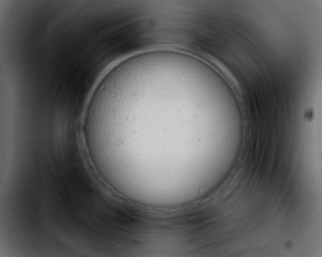 X0000103901340200810311401